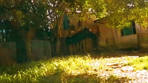 Sereneada en la Obra - Noche en COVISOLTAC - Tacuarembó (15/10/2024)