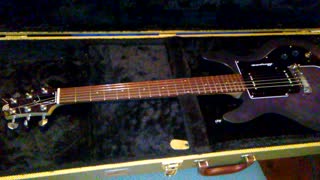 2000 AMPEG GUITAR "FINISHED & CASE"