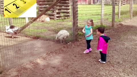 New funniest | Video funny | 2021 funny video Durani124