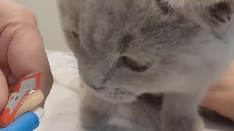 Cute 🥰