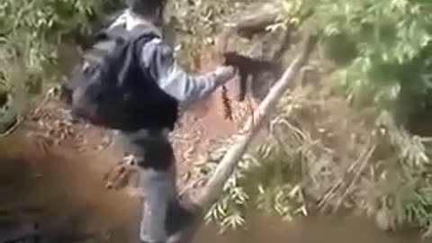 Brazilian policeman falls into lake after not listening