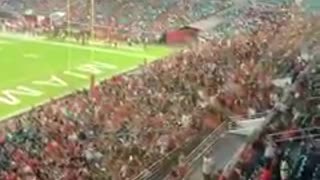 AMAZING! Stray cat falls at Hard Rock Stadium -- SAVED by American Flag!