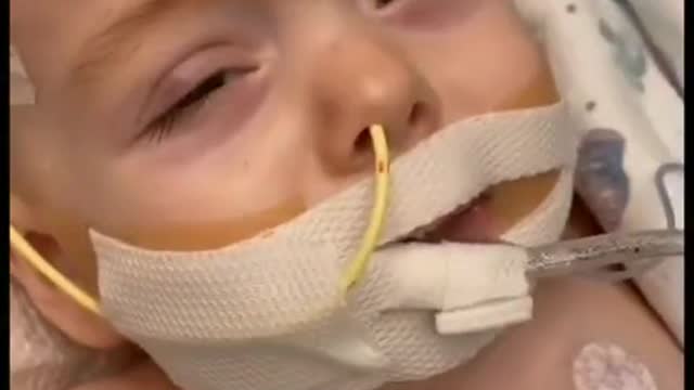 2021-09-28 Доктор сказал - малыш ок, можно поэкспериментировать
