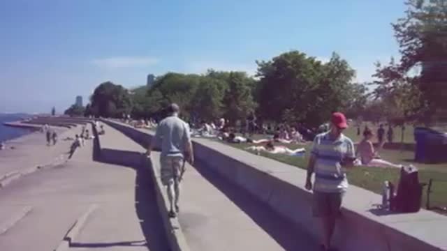 Lakefront in the summer Chicago