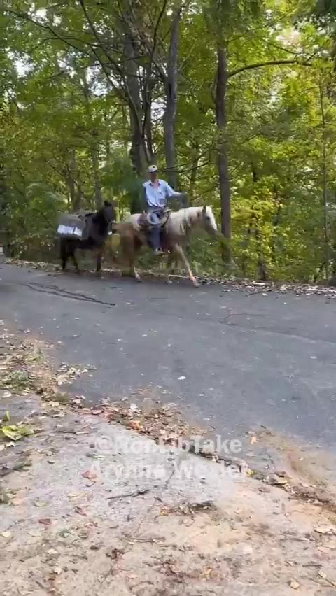 see descroption below