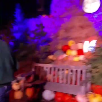 Bench, pumpkins and moon for pictures. Year 2, Part 32.