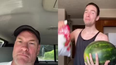Alpha male