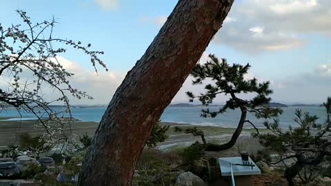 ocean view in korea