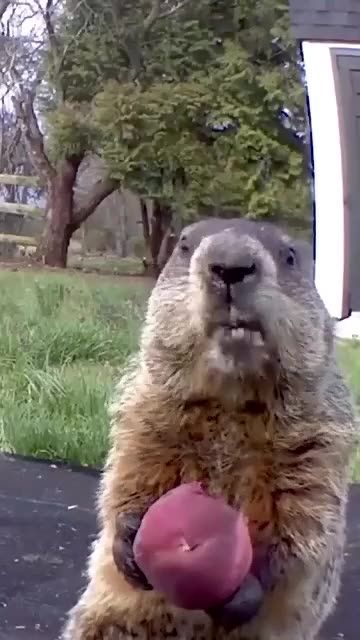 Burrrrrrrpppppp sorry about that 🤣🤣