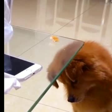 Total Focus On Any One Thing Can Often Get One Stumped. Funny.