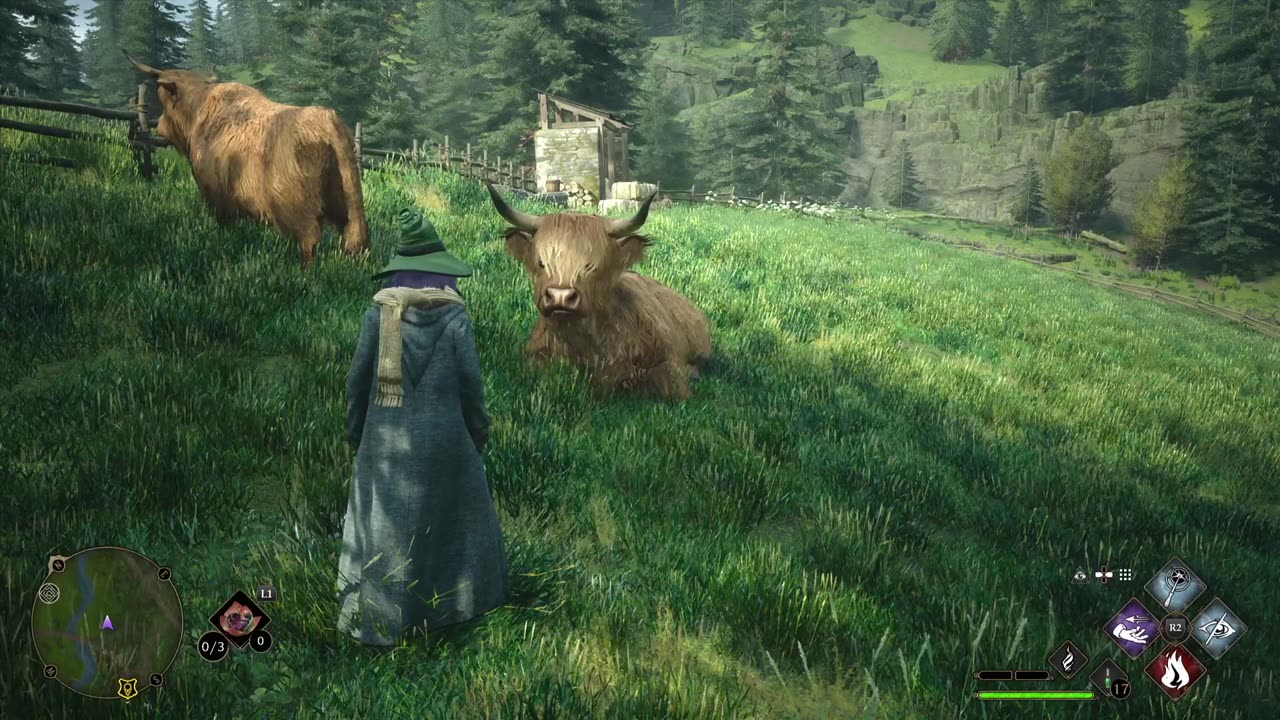 Why can't I pet the highland cattle | Hogwarts Legacy