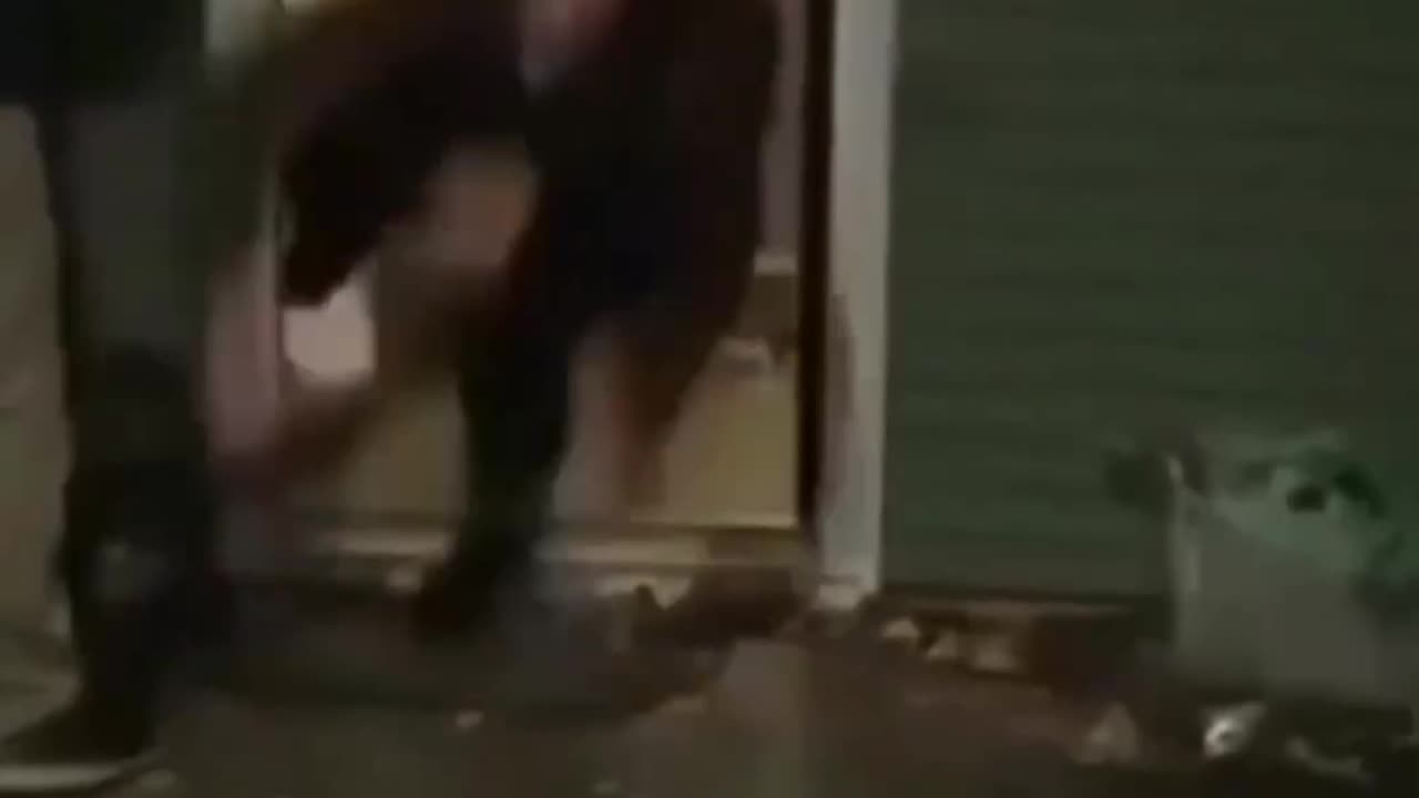 Best of Funny Fails 😂😂