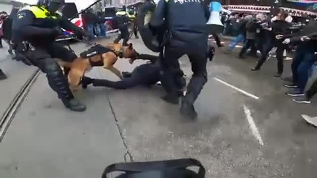 Amsterdam: People mauled by police dogs, beaten with batons at ‘unauthorized protest’ against Covid restrictions