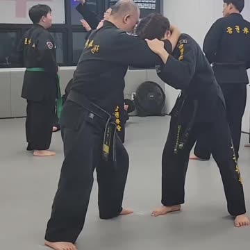 Hapkido