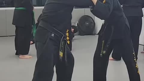 Hapkido