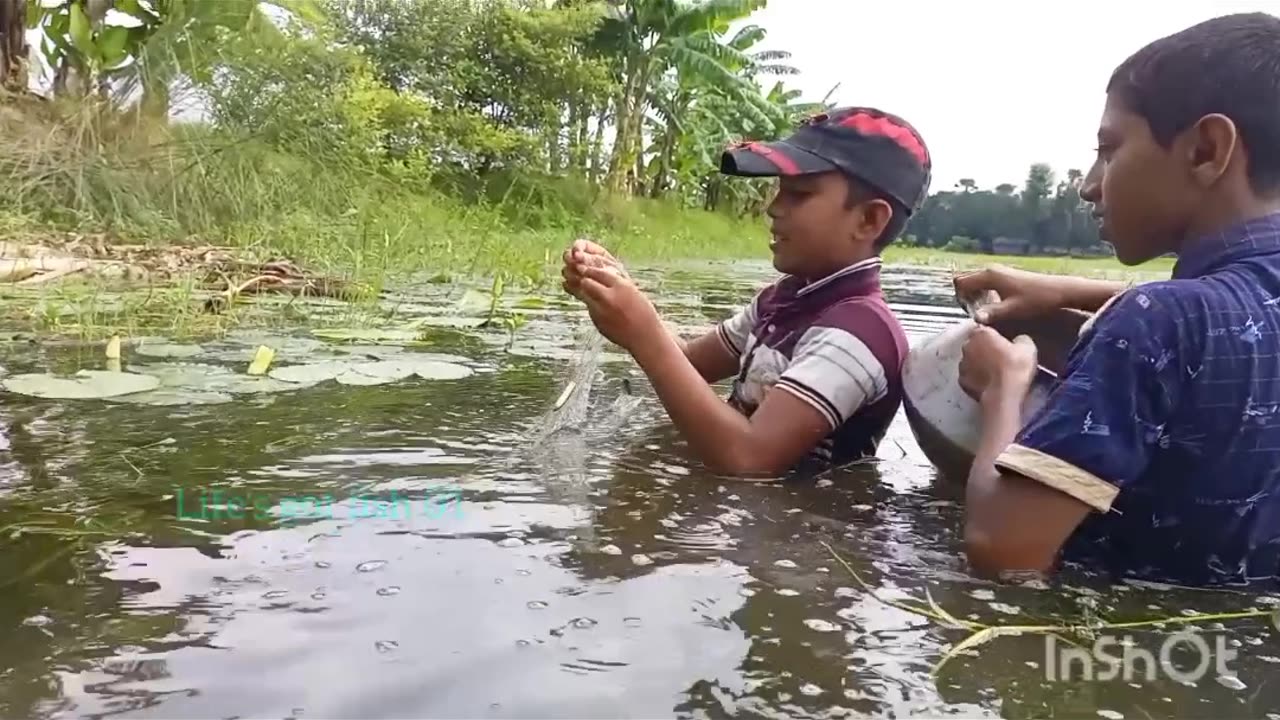 Amazing net fishing video in village bills