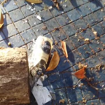 7.12.2023 Party in the Park