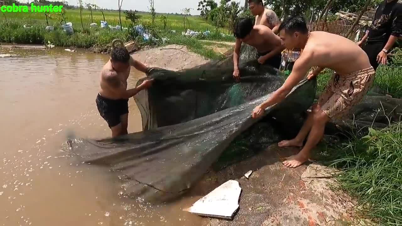 Chicken was swallowed by a giant snake when a young man fished