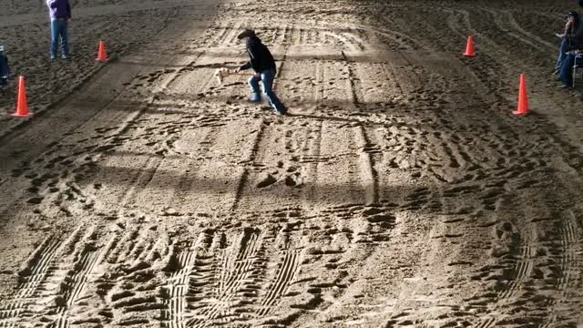 Stick Horse Reining Class