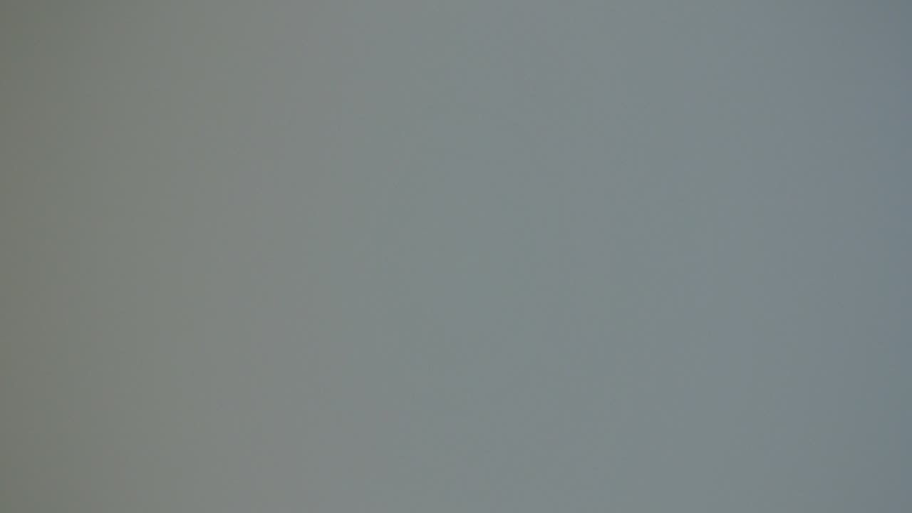 240710CanVid_PPGGene1stTO