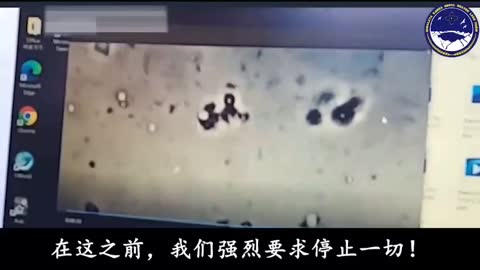 韓國人在新冠疫苗裡發現類似寄生蟲 六個樣本都有！形狀奇特