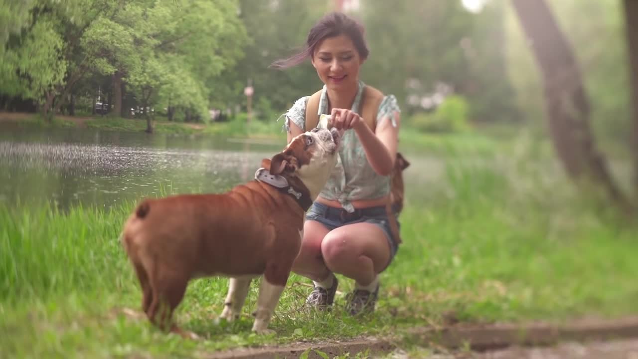 Dog and girl lovely moment