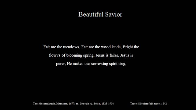 Beautiful Savior