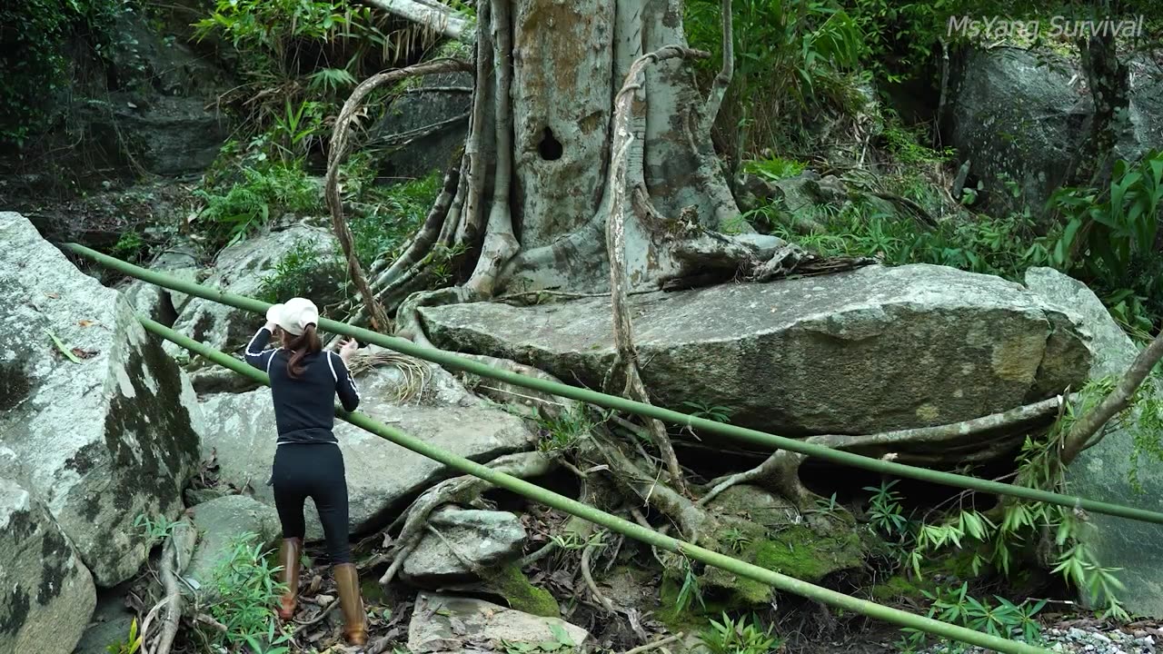 Fishing with bamboo spikes - Build an emergency shelter by the stream _ Bushcraft survival