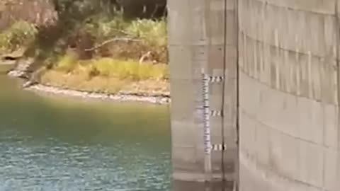 Steve O Jumps off a bridge