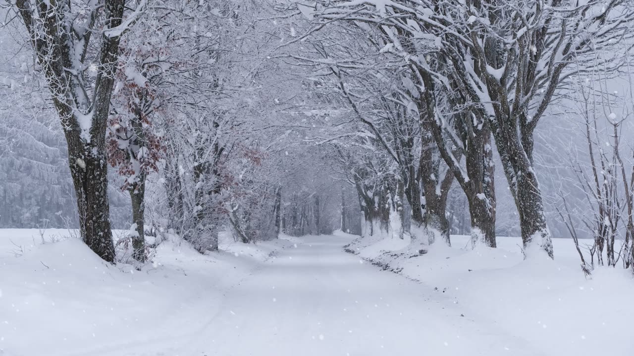 snow walk