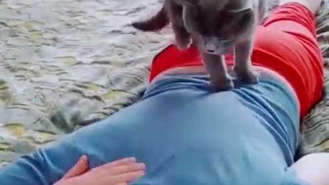 Best funny video cat and dog 🐶🐶,😽😽