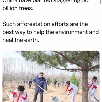 Chinese President Xi Jinping encouraging school children to plant trees.