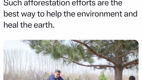 Chinese President Xi Jinping encouraging school children to plant trees.