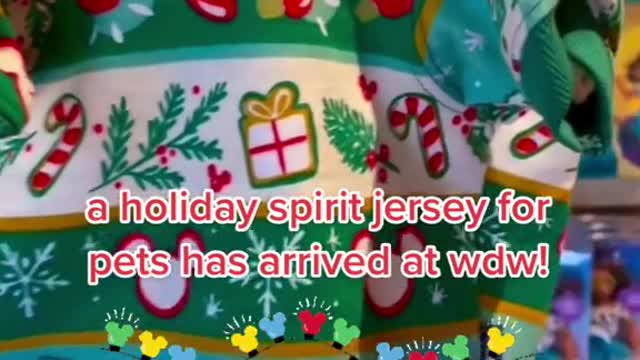 aholiday spirit jersey for pets has arrived at wdw!