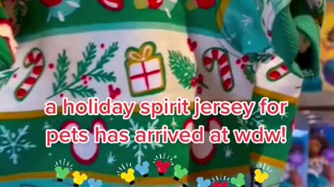 aholiday spirit jersey for pets has arrived at wdw!