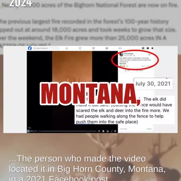 Fact Check: Video Does NOT Show Elk Escaping Wyoming Wildfire In 2024