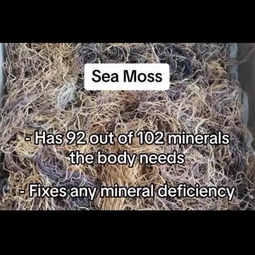 See the project of the CIA about mind control