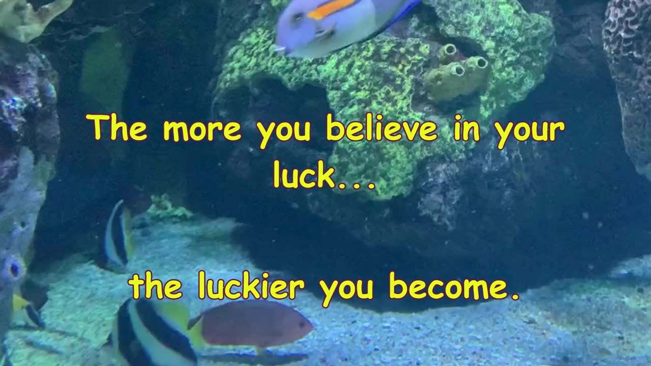 Luck