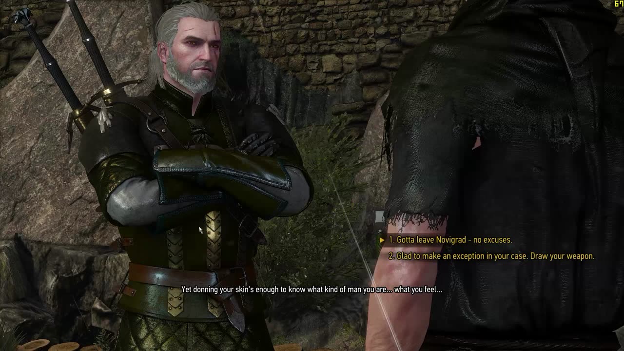 Geralt vs Geralt - The Witcher 3 (PC)