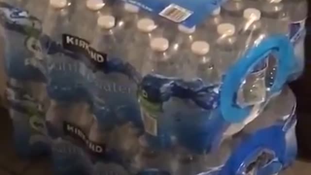 Cats Playing Hide And Seek In A Case Of Water Bottles