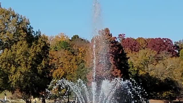 Light in water