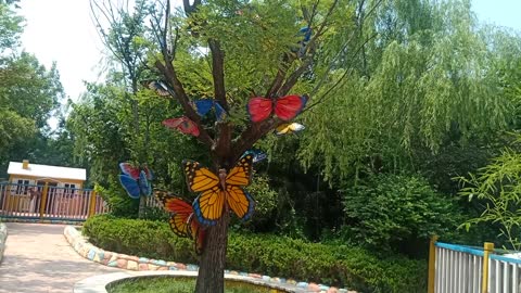 This tree is full of butterflies