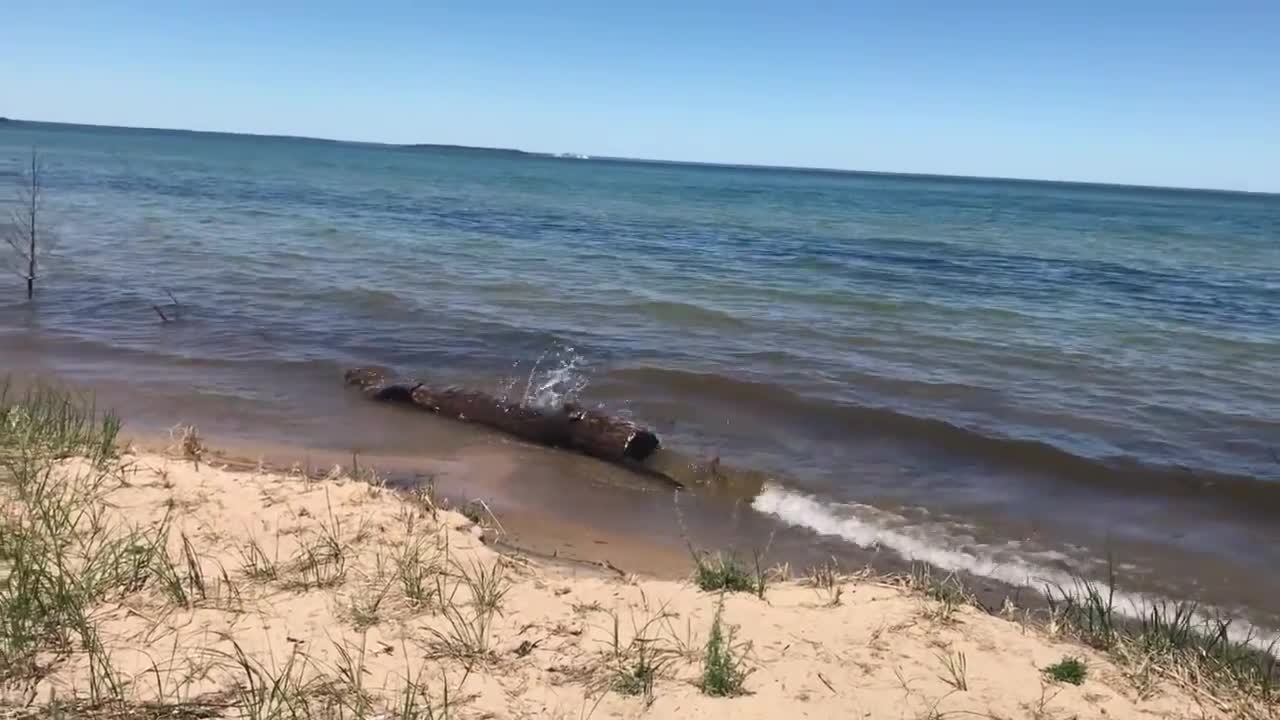 camping in michigan