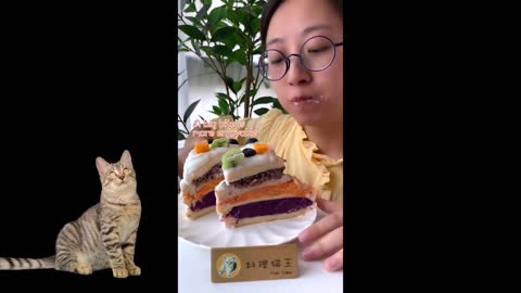 Chef cat funny videos