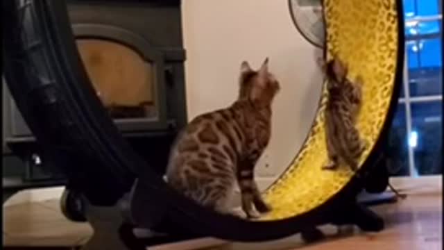 Watch till the end .... oh no ...