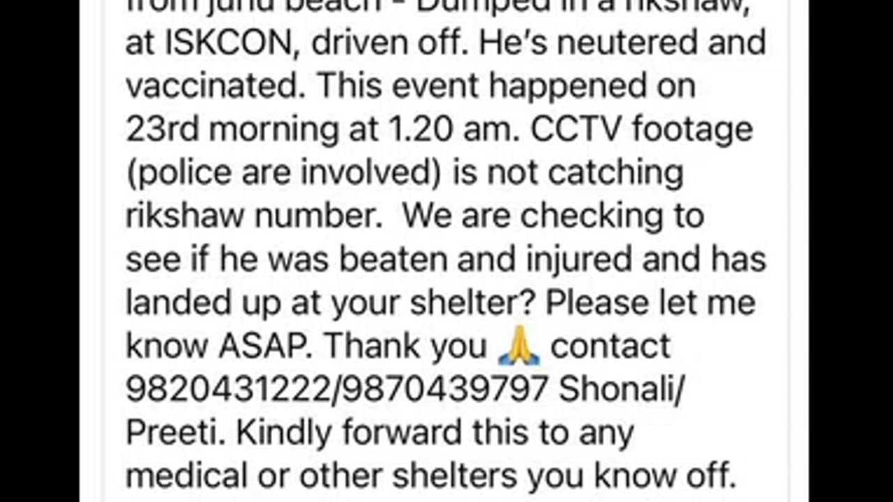 Kidnapped dog from Juhu Beach #doglover #rescuestraydogs #cat #animals #instastrays