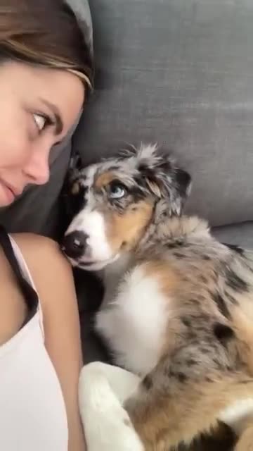 Kissing my Half Asleep Pup to See Her Reaction
