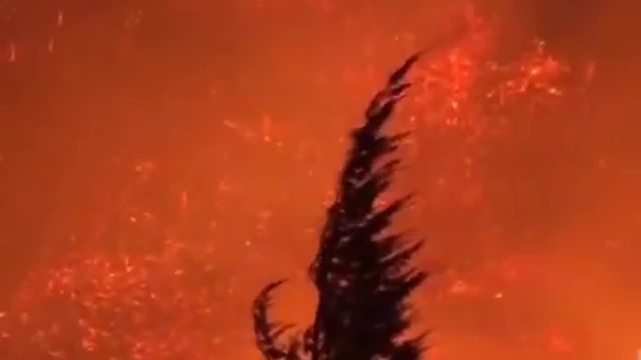 A massive forest fire broke out near Orizaba