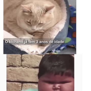 O DESAFIO DO EMAGRECIMENMTO 1