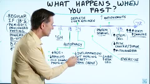 What Really Happens When We Fast